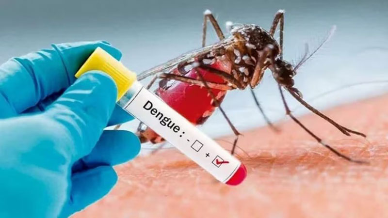 Reportaron 138 casos nuevos de dengue y 96 de coronavirus en Entre Ríos