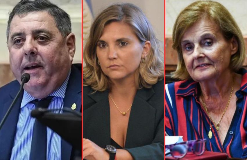 Los tres senadores entrerrianos votaron en contra de los pliegos de Lijo y Garcia – Mansilla